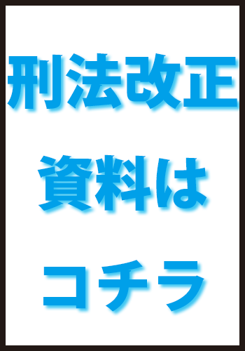 性犯罪解説資料